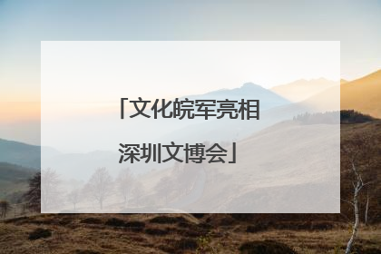 文化皖军亮相深圳文博会