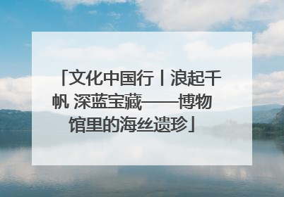 文化中国行丨浪起千帆 深蓝宝藏——博物馆里的海丝遗珍