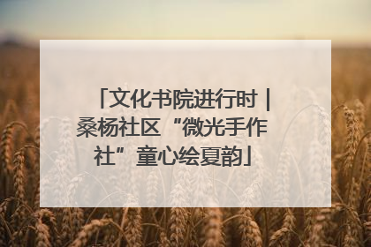 文化书院进行时｜桑杨社区“微光手作社”童心绘夏韵