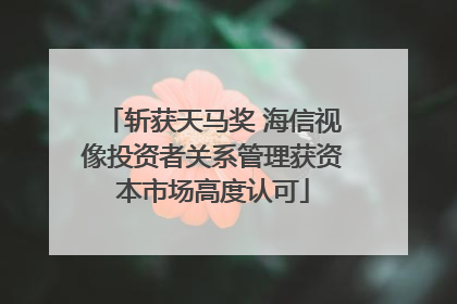斩获天马奖 海信视像投资者关系管理获资本市场高度认可