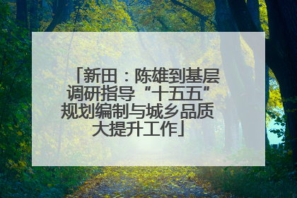 新田：陈雄到基层调研指导“十五五”规划编制与城乡品质大提升工作