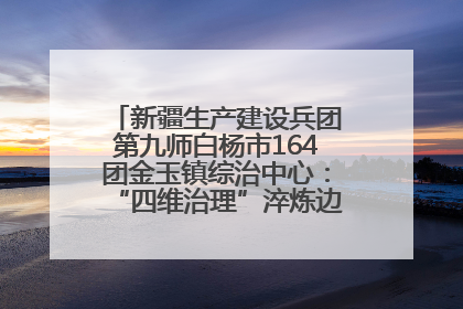 新疆生产建设兵团第九师白杨市164团金玉镇综治中心：“四维治理”淬炼边疆“枫桥样本”