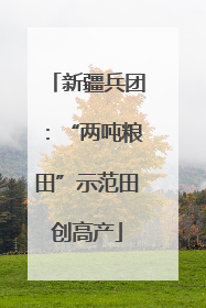 新疆兵团：“两吨粮田”示范田创高产