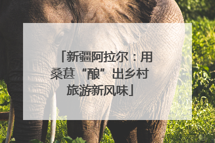 新疆阿拉尔：用桑葚“酿”出乡村旅游新风味