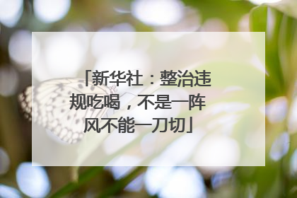 新华社：整治违规吃喝，不是一阵风不能一刀切
