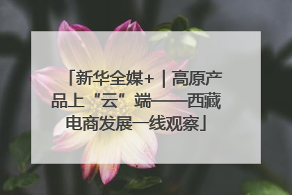 新华全媒+｜高原产品上“云”端——西藏电商发展一线观察