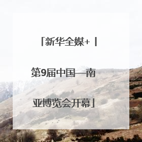 新华全媒+丨第9届中国—南亚博览会开幕