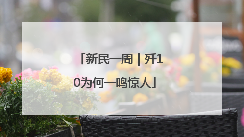 新民一周｜歼10为何一鸣惊人