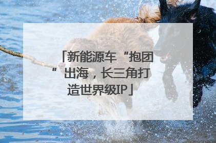 新能源车“抱团”出海，长三角打造世界级IP