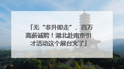 无“非升即走”、百万高薪诚聘！湖北赴南京引才活动这个展台火了