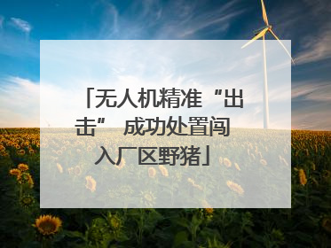 无人机精准“出击” 成功处置闯入厂区野猪