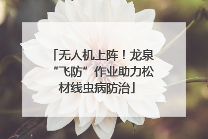 无人机上阵！龙泉“飞防”作业助力松材线虫病防治