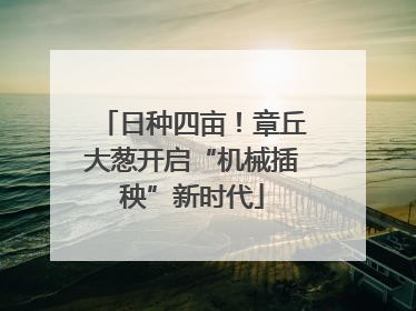日种四亩！章丘大葱开启“机械插秧”新时代