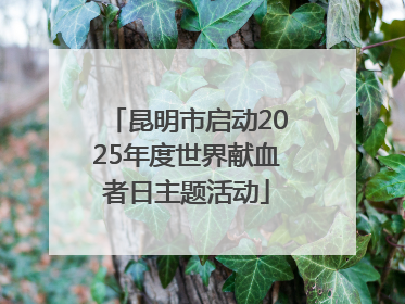 昆明市启动2025年度世界献血者日主题活动