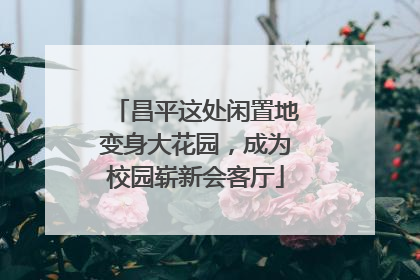 昌平这处闲置地变身大花园，成为校园崭新会客厅