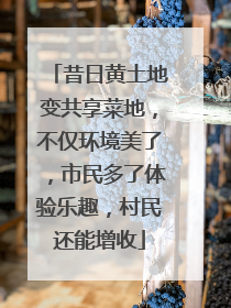 昔日黄土地变共享菜地，不仅环境美了，市民多了体验乐趣，村民还能增收