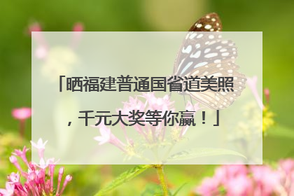 晒福建普通国省道美照，千元大奖等你赢！