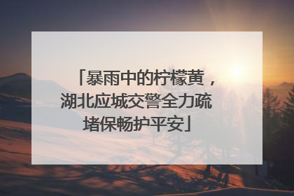 暴雨中的柠檬黄，湖北应城交警全力疏堵保畅护平安