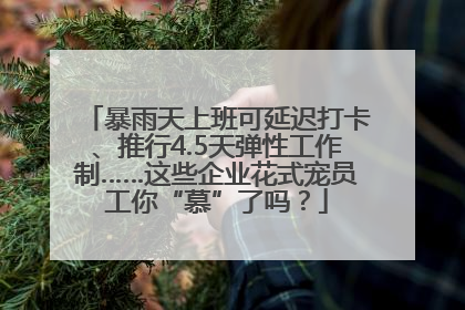 暴雨天上班可延迟打卡、推行4.5天弹性工作制……这些企业花式宠员工你“慕”了吗？