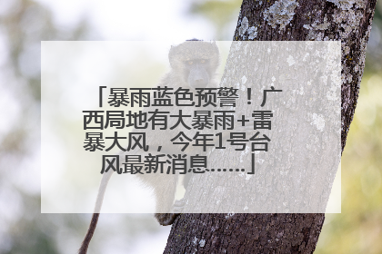 暴雨蓝色预警！广西局地有大暴雨+雷暴大风，今年1号台风最新消息……