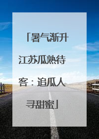 暑气渐升江苏瓜熟待客：追瓜人寻甜蜜