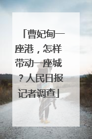 曹妃甸一座港，怎样带动一座城？人民日报记者调查