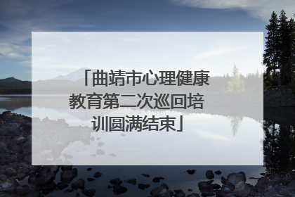 曲靖市心理健康教育第二次巡回培训圆满结束