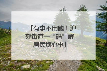 有事不用跑！沪郊街道一“码”解居民烦心事