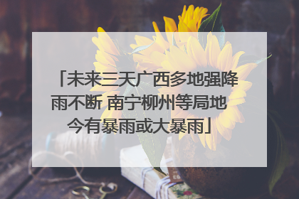 未来三天广西多地强降雨不断 南宁柳州等局地今有暴雨或大暴雨
