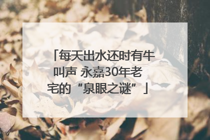 每天出水还时有牛叫声 永嘉30年老宅的“泉眼之谜”