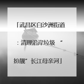 武昌区白沙洲街道：清理沿岸垃圾 “扮靓”长江母亲河
