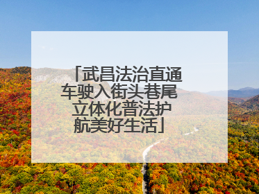 武昌法治直通车驶入街头巷尾 立体化普法护航美好生活
