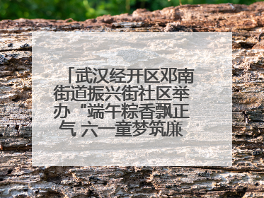 武汉经开区邓南街道振兴街社区举办“端午粽香飘正气 六一童梦筑廉心” 主题活动
