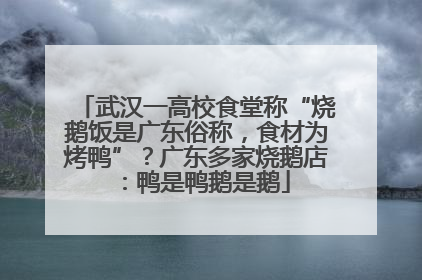 武汉一高校食堂称“烧鹅饭是广东俗称，食材为烤鸭”？广东多家烧鹅店：鸭是鸭鹅是鹅