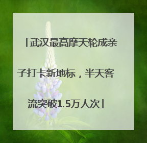 武汉最高摩天轮成亲子打卡新地标，半天客流突破1.5万人次