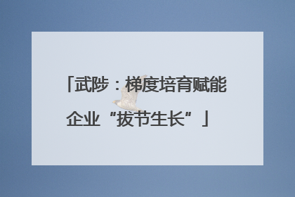武陟：梯度培育赋能企业“拔节生长”