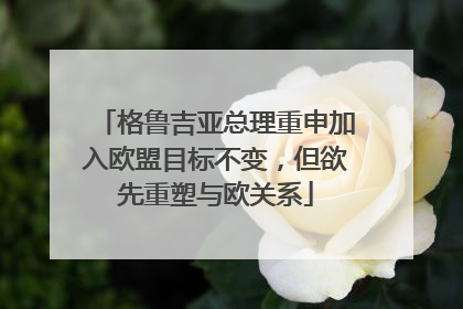 格鲁吉亚总理重申加入欧盟目标不变，但欲先重塑与欧关系