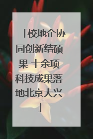 校地企协同创新结硕果 十余项科技成果落地北京大兴
