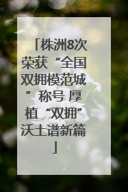 株洲8次荣获“全国双拥模范城”称号 厚植“双拥”沃土谱新篇