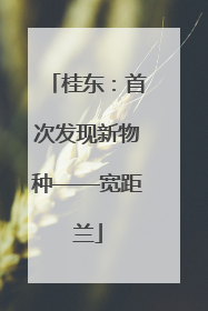 桂东：首次发现新物种——宽距兰