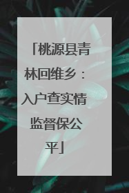 桃源县青林回维乡：入户查实情 监督保公平