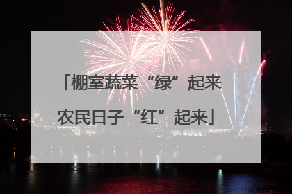棚室蔬菜“绿”起来 农民日子“红”起来