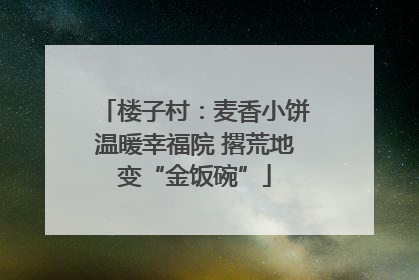 楼子村：麦香小饼温暖幸福院 撂荒地变“金饭碗”