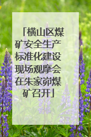 横山区煤矿安全生产标准化建设现场观摩会在朱家峁煤矿召开