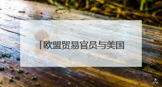欧盟贸易官员与美国贸易代表举行会谈