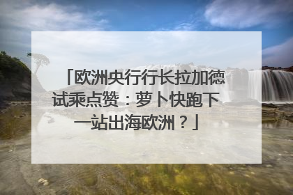 欧洲央行行长拉加德试乘点赞：萝卜快跑下一站出海欧洲？