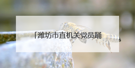 潍坊市直机关党员踊跃献血庆“七一”