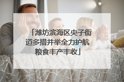 潍坊滨海区央子街道多措并举全力护航粮食丰产丰收
