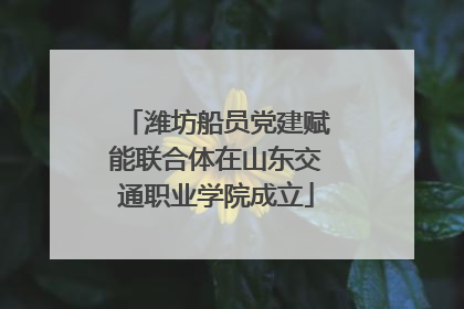潍坊船员党建赋能联合体在山东交通职业学院成立