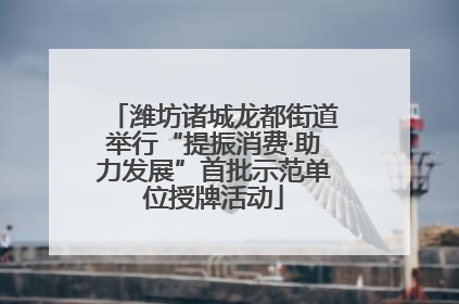 潍坊诸城龙都街道举行“提振消费·助力发展”首批示范单位授牌活动